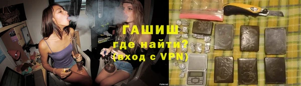индика Горно-Алтайск