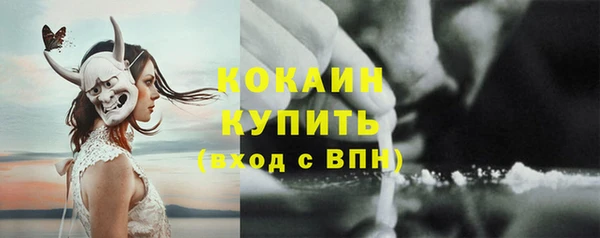 бошки Горняк