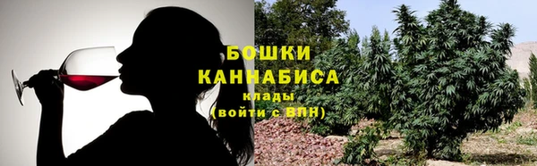 бошки Горняк